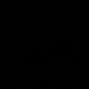 Meet your Posher, Marti